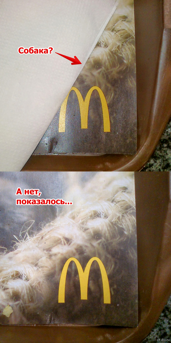 ������? � ���, ����������