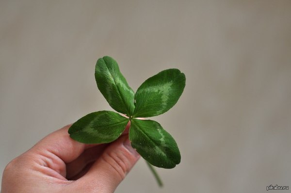 ����� ���� ^^