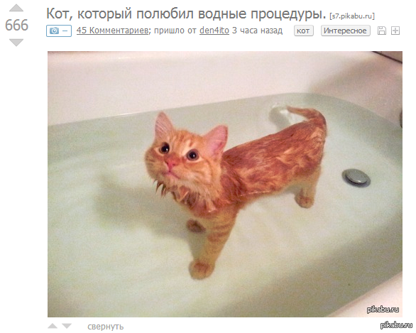 Очень странно всё это ...