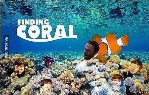 CORAL! from 9gag dat com...