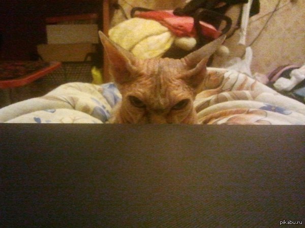 ��� �� �������!