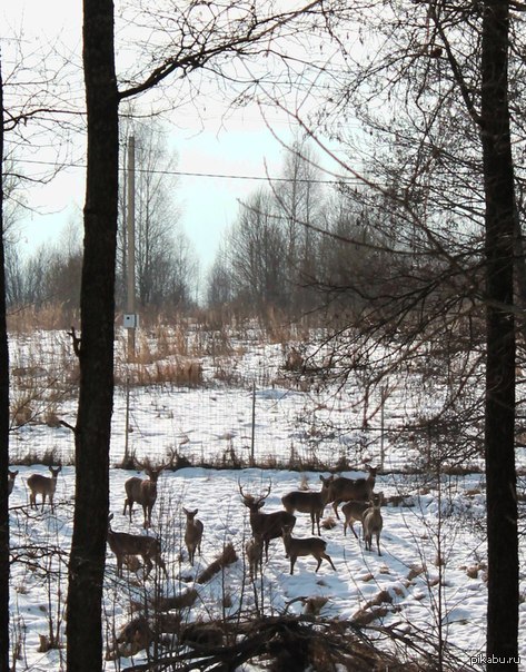 �� ������, �� �������.