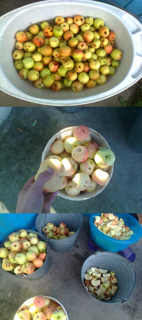 � ���� ���� �������� ����)