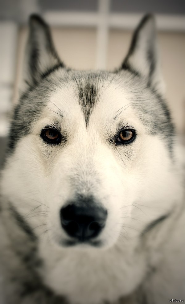 ���� ������...