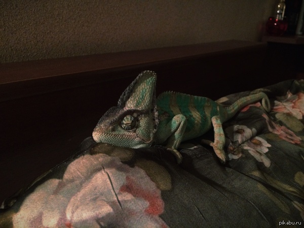 ������ � ���� ����� ������ �� �������� !