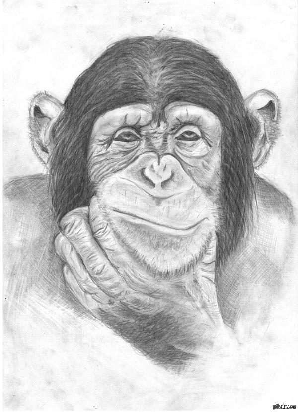 ��������� �������