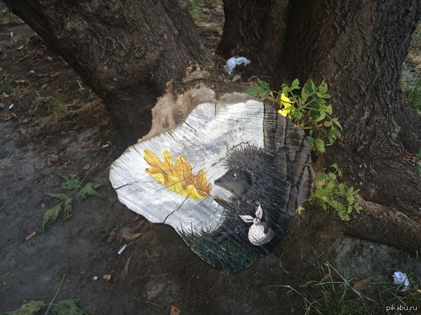 Hedgehog, igel,  ... 