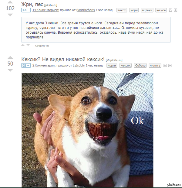 �� ��� ���������