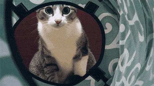   ^^ 