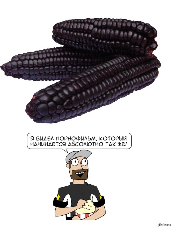 ������ ��������