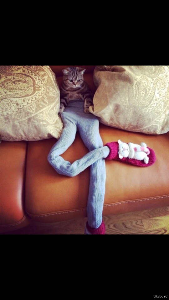 ��� �� �..��?!