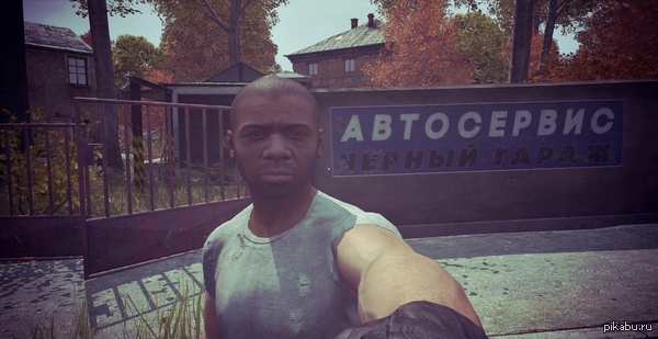    DAYZ