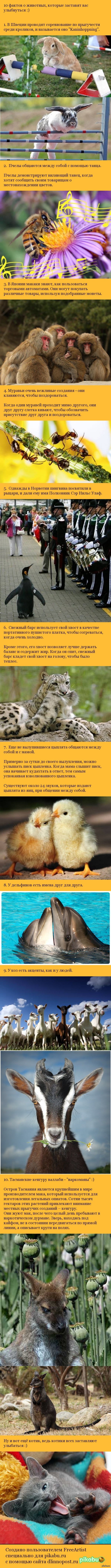 10 ������ � ��������, ������� �������� ��� ���������� :)