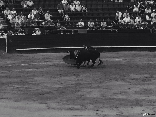    /Corrida de toros 