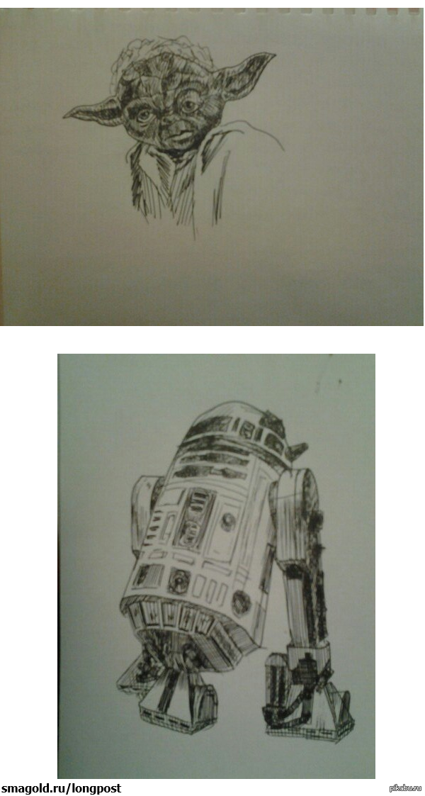 ���� �������� ���� �������.