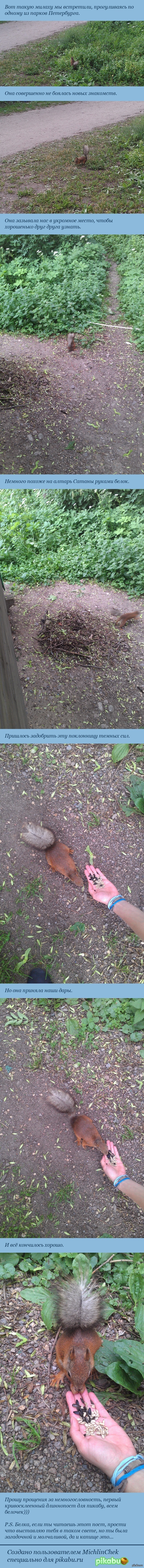 Знакомство с диким зверем (длиннопост).