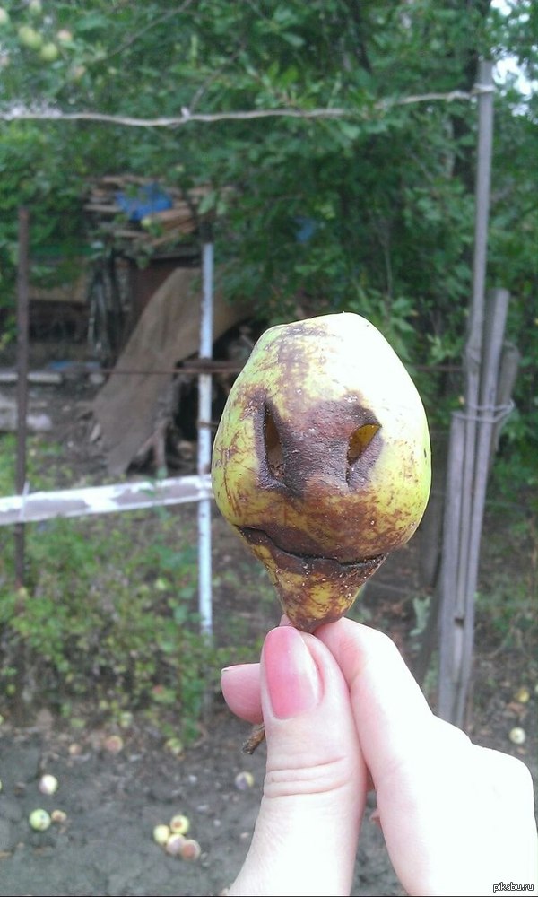 �������� ����, ��� �������� ������,���� ��� �� ����. � ����� ������ ���. ������� ��� ����������..