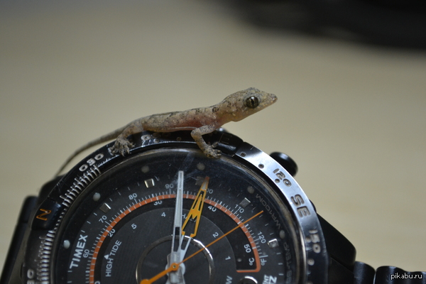 � ���� �������� ����� �����!