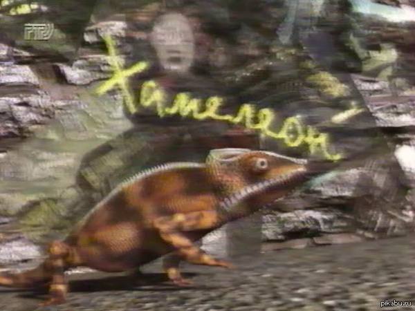 ���� �� ������� ��� ���, ��� ����� � ���������, � ���� � ��������� �� ������, �� ����� 1 ��������