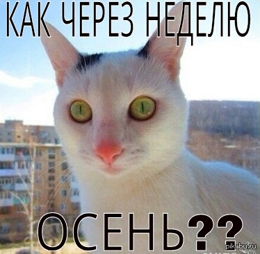 ��������������������-��������� ���������