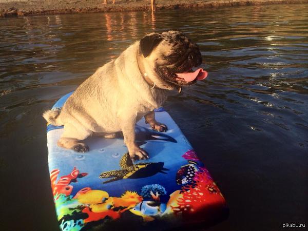 �� ������ �����