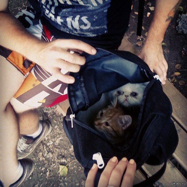 � ��� ��� ������������