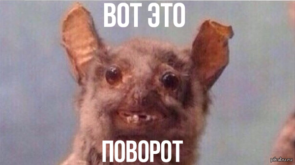 ��� ��� �������!
