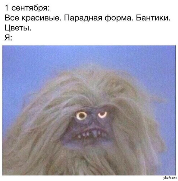 Типичное 1 сентября | Пикабу