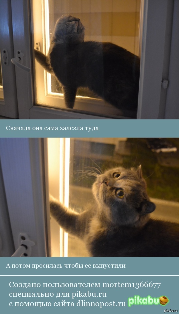 ������ �����