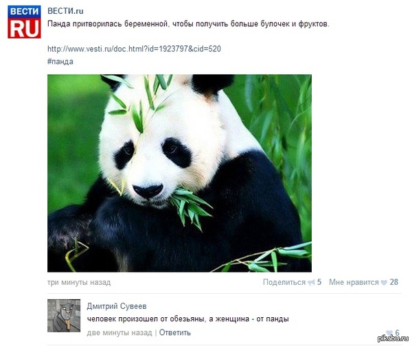       ,          .    http://www.vesti.ru/doc.html?id=1923797&amp;amp;c