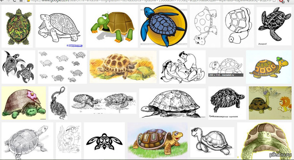 Suddenly :) - NSFW, My, Turtle, Drawing, Suddenly, Google, Cut it out