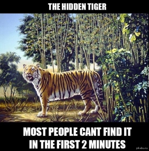 Украл с 9GAG'а.Yoink!