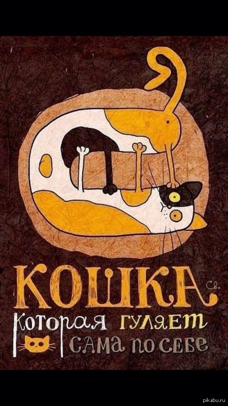 ���� ����