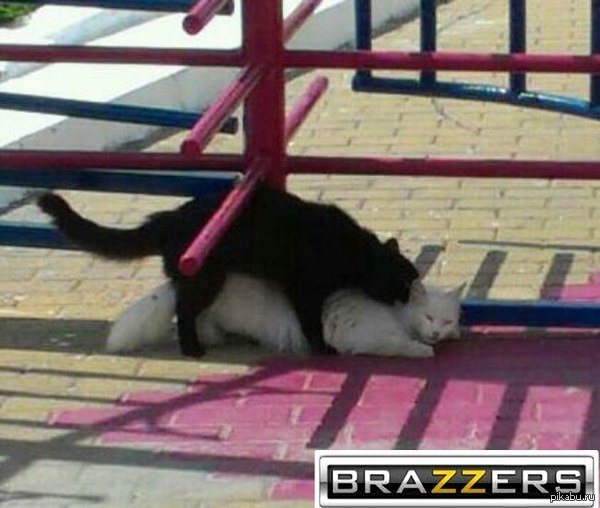 ...     :)