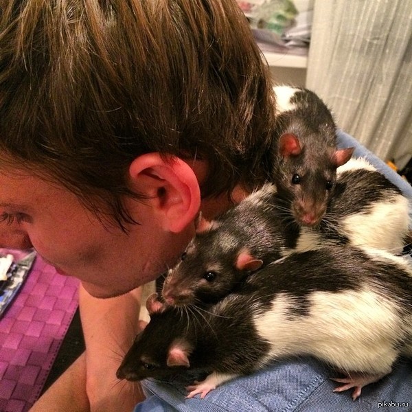 ��������� ������ �� ���������������� �������, ������� ���������� ��������!