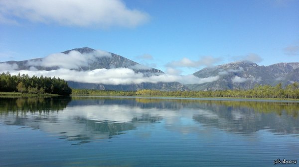 Хочу тоже присоединиться. Природу в горячее, а не политику.