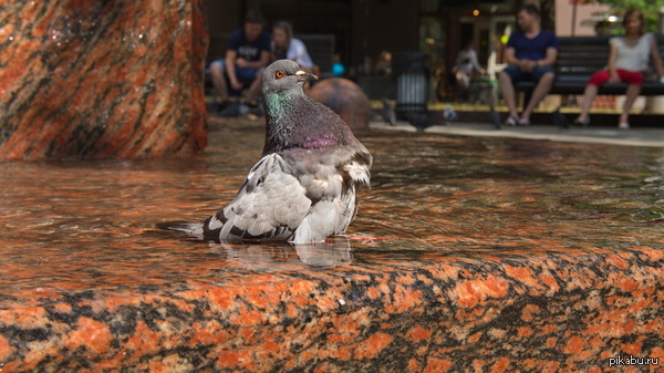 ������ ������ ������ ����� � �������