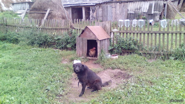 ������ ������ �������