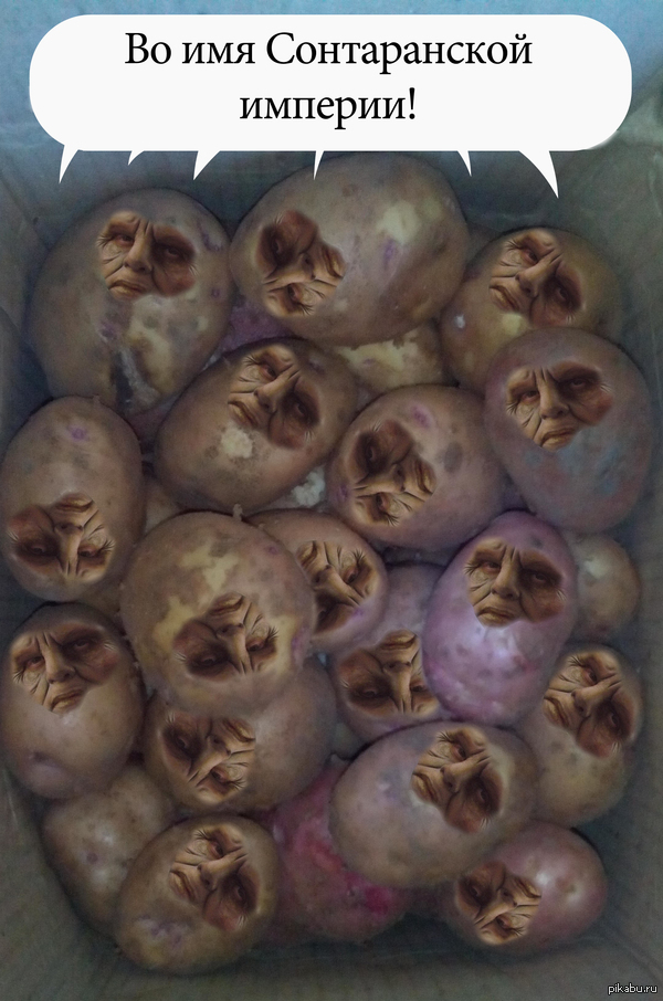 Что я вижу, когда смотрю на картошку!