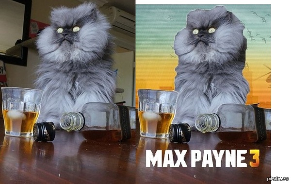 ��� Max payne 3