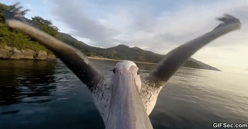 GoPro- 