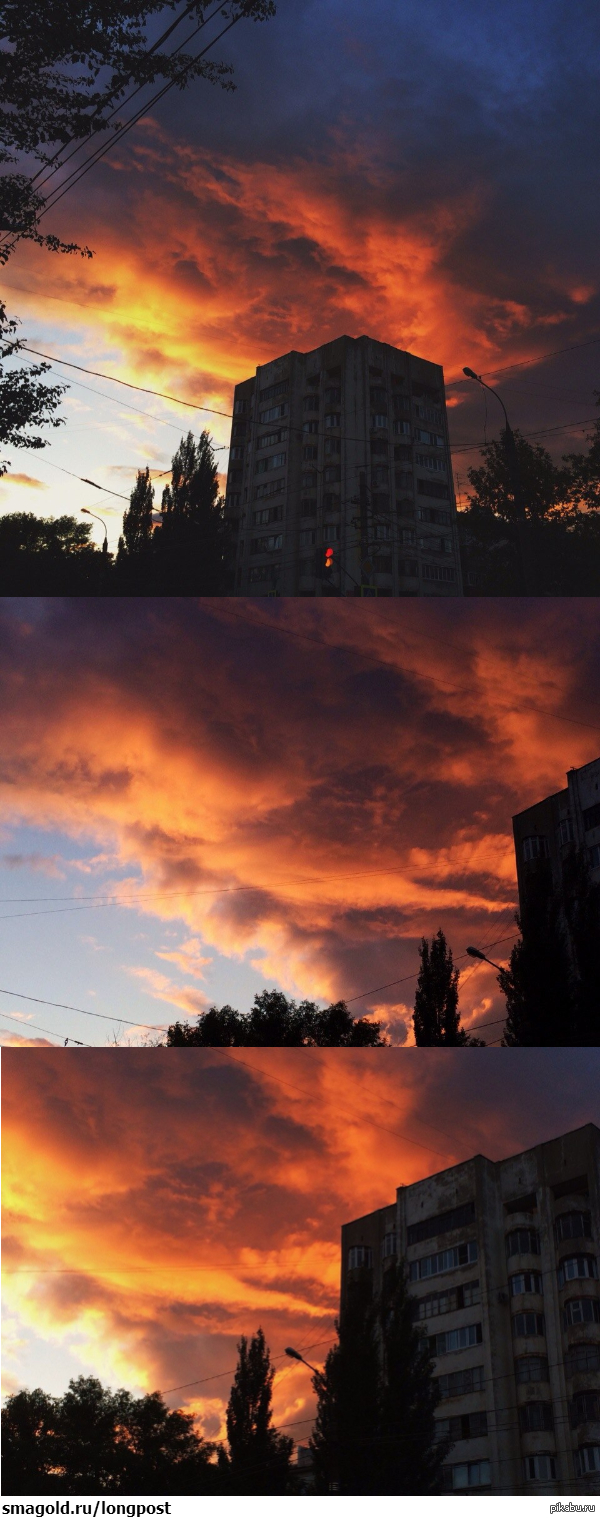 ���� ������� ������������