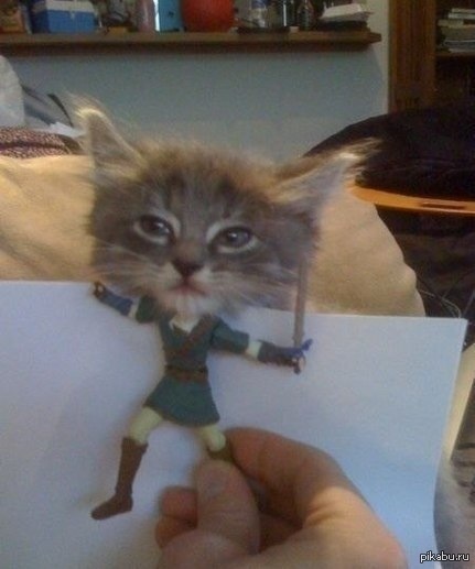 ����������