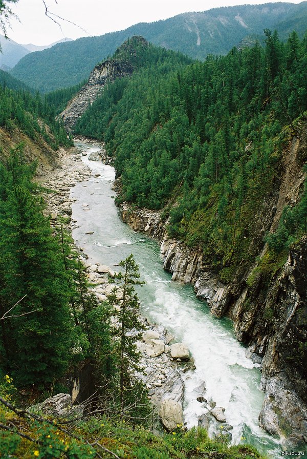 Китой. Бурятия. | Пикабу