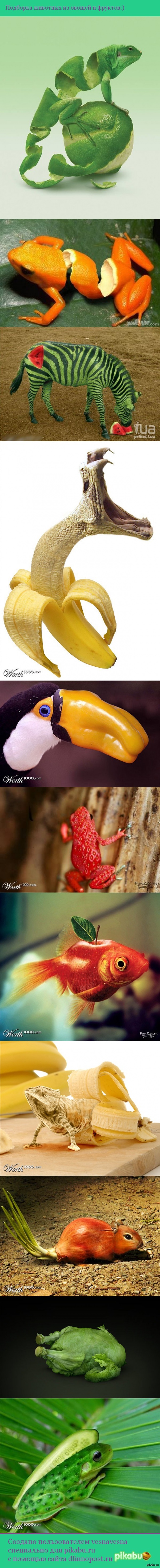 ������� ��������