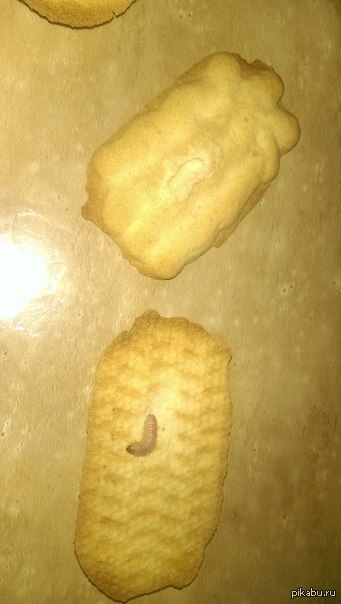 У всех первое сентября...