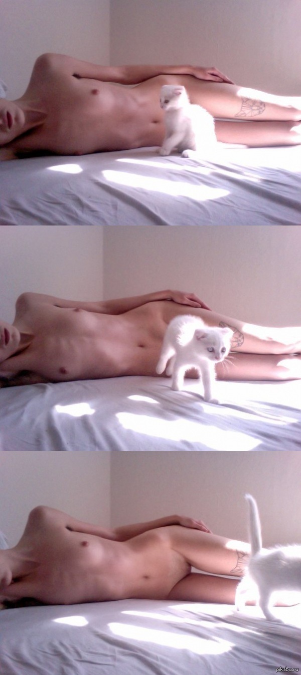 Kitten - NSFW, cat, Erotic