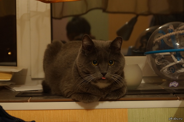 ���-�����)))