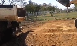 Мастер своего дела