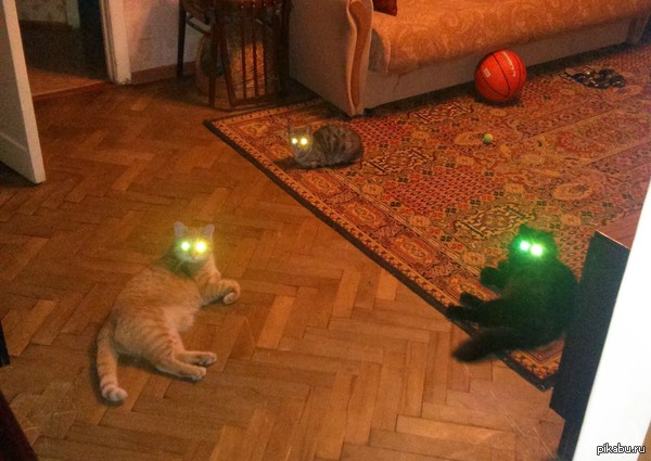 ������ �������, ��� ��� ��� ����� ������